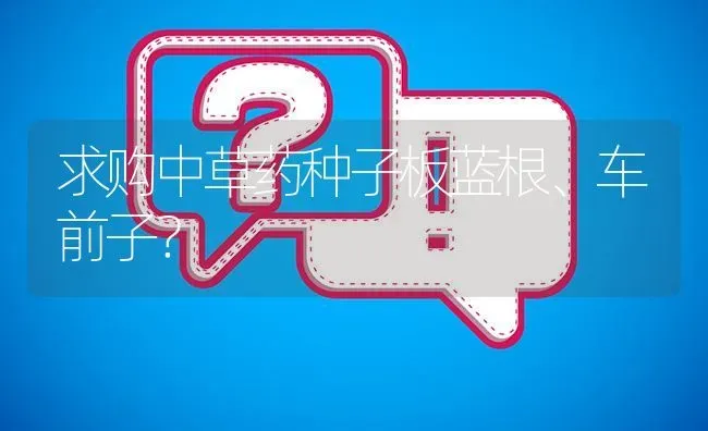 求购中草药种子板蓝根、车前子? | 养殖问题解答