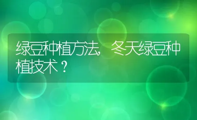 绿豆种植方法,冬天绿豆种植技术？ | 养殖常见问题