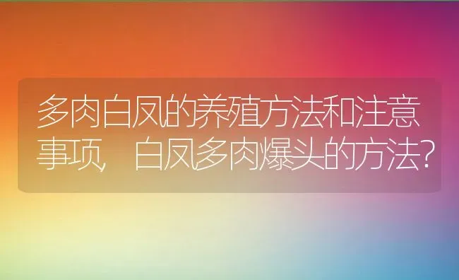 多肉白凤的养殖方法和注意事项,白凤多肉爆头的方法？ | 养殖常见问题