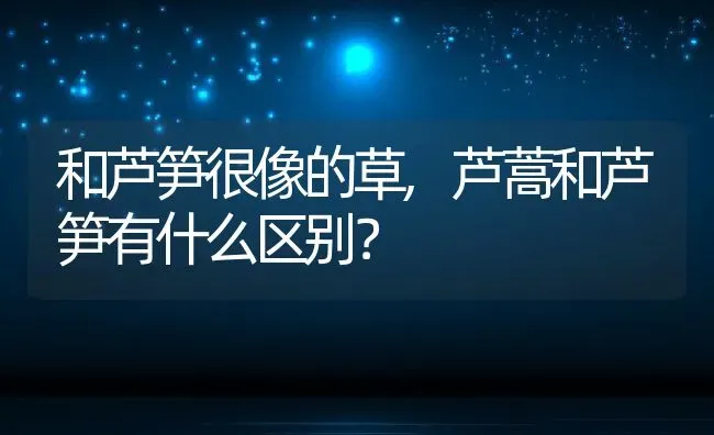 和芦笋很像的草,芦蒿和芦笋有什么区别？ | 养殖常见问题