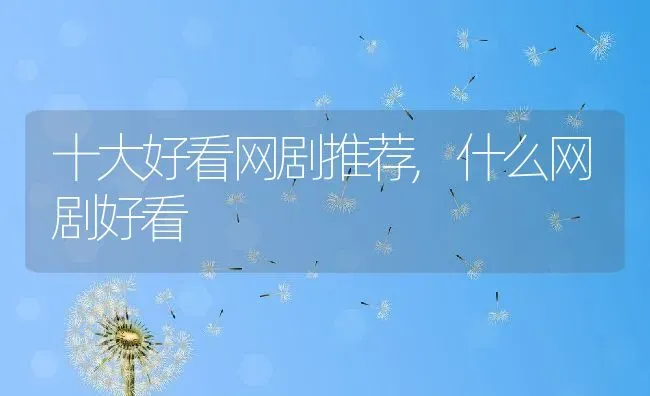 高粱长什么样子,高粱变得像什么？ | 养殖常见问题