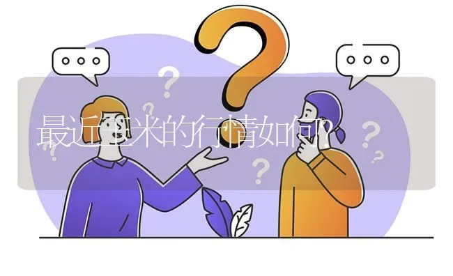 最近玉米的行情如何? | 养殖问题解答