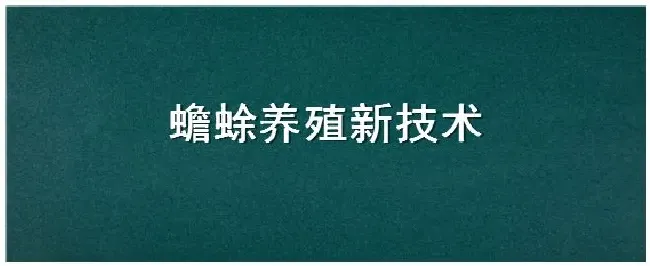 蟾蜍养殖新技术 | 生活常识