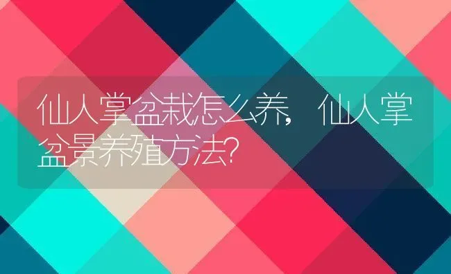 仙人掌盆栽怎么养,仙人掌盆景养殖方法？ | 养殖常见问题