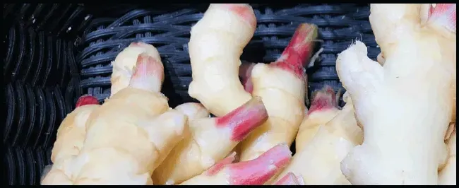 种姜一年一亩赚多少钱 | 生活常识