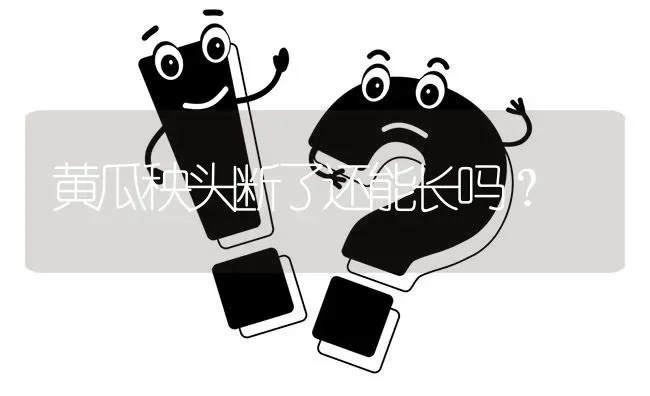 黄瓜秧头断了还能长吗? | 养殖问题解答