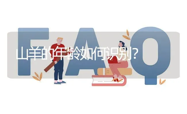 山羊的年龄如何识别? | 养殖问题解答