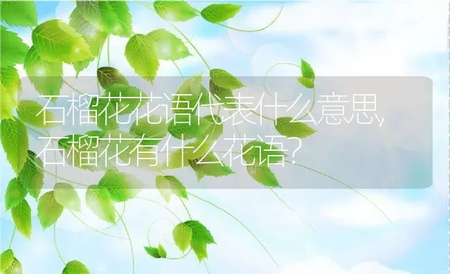 石榴花花语代表什么意思,石榴花有什么花语？ | 养殖常见问题