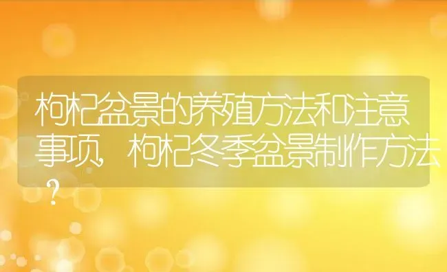 枸杞盆景的养殖方法和注意事项,枸杞冬季盆景制作方法？ | 养殖常见问题