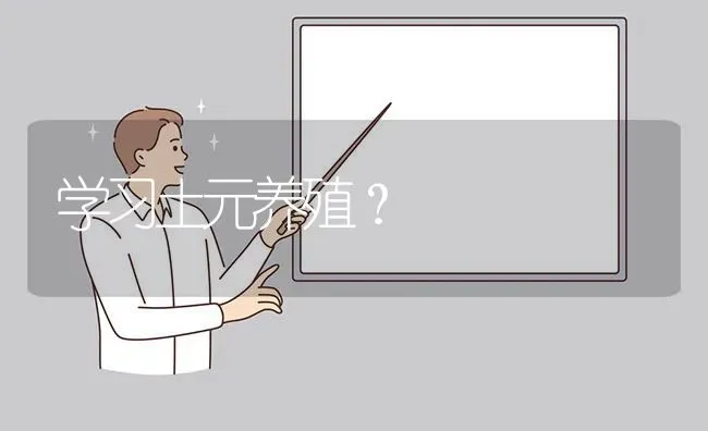 学习土元养殖? | 养殖问题解答