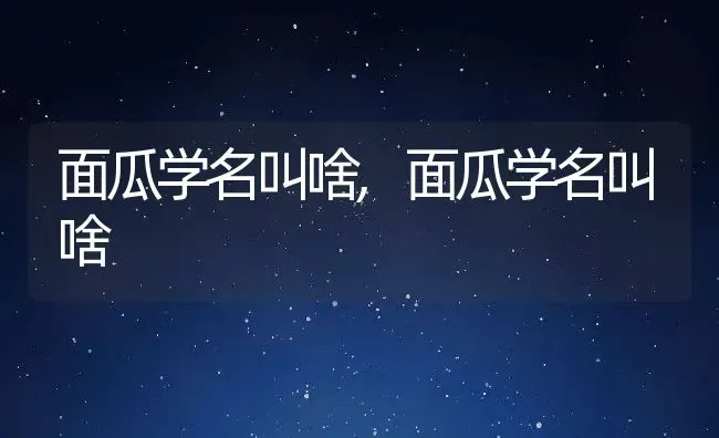 面瓜学名叫啥,面瓜学名叫啥 | 养殖常见问题