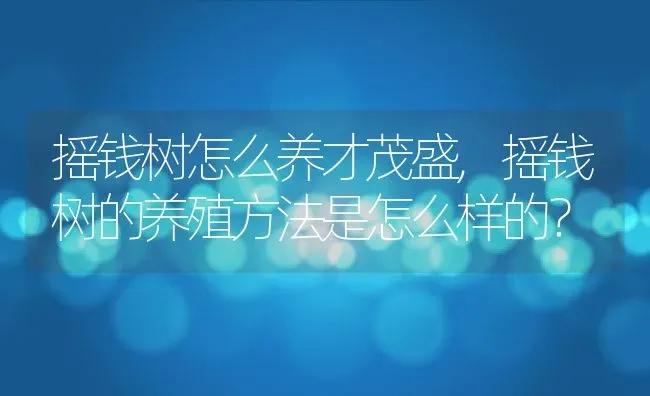 摇钱树怎么养才茂盛,摇钱树的养殖方法是怎么样的？ | 养殖常见问题