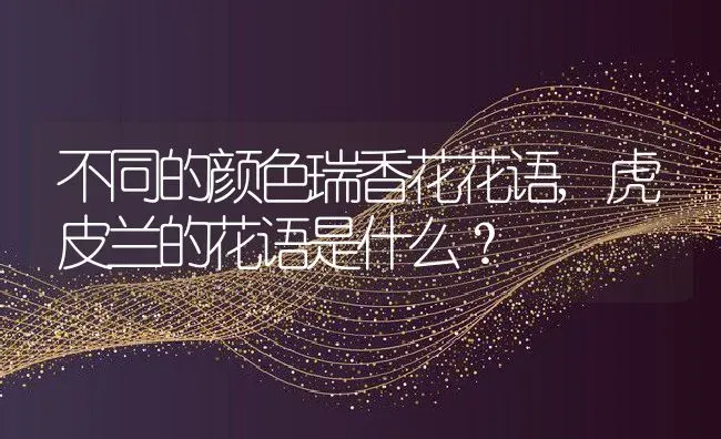 不同的颜色瑞香花花语,虎皮兰的花语是什么？ | 养殖常见问题