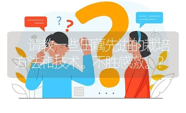 请教一些田藕先进的栽培方法和技术。不胜感激。? | 养殖问题解答