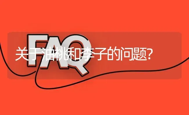 关于油桃和李子的问题? | 养殖问题解答