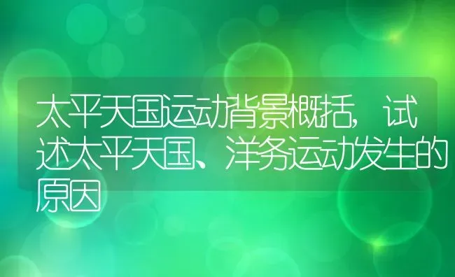 太平天国运动背景概括,试述太平天国、洋务运动发生的原因 | 养殖常见问题