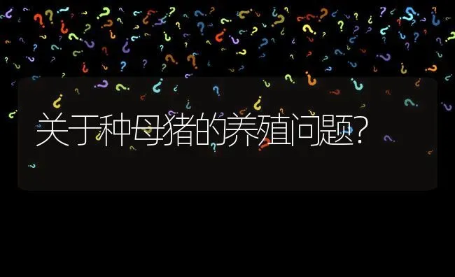 关于种母猪的养殖问题? | 养殖问题解答