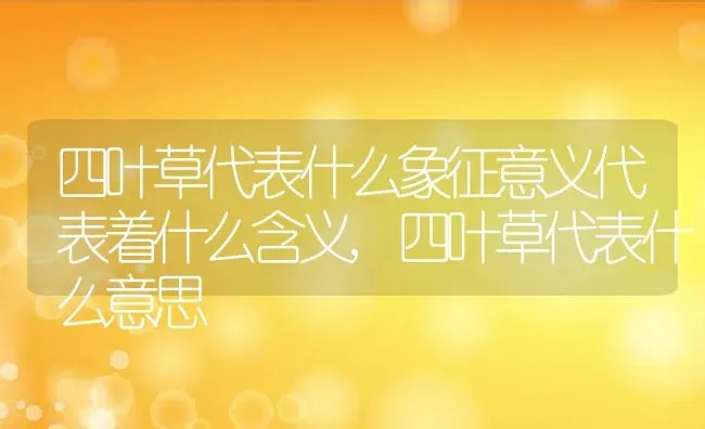 四叶草代表什么象征意义代表着什么含义,四叶草代表什么意思 | 养殖常见问题