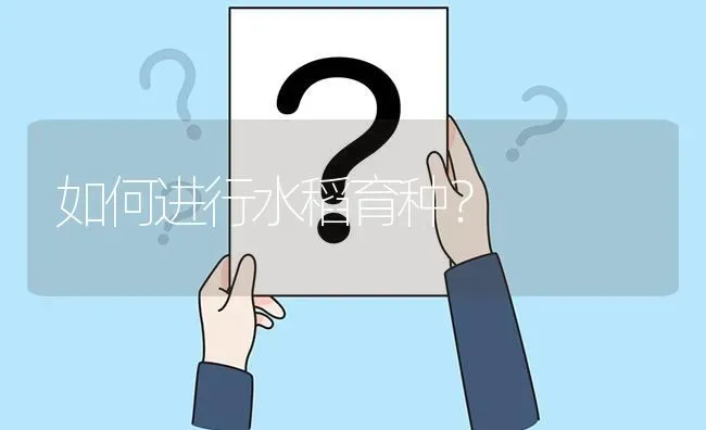 如何进行水稻育种? | 养殖问题解答