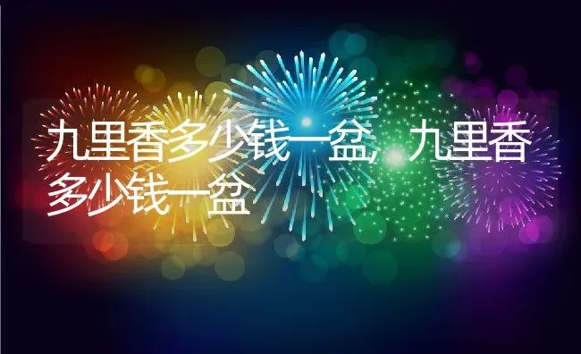 九里香多少钱一盆,九里香多少钱一盆 | 养殖常见问题