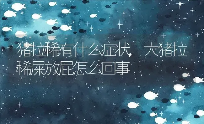 猪拉稀有什么症状,大猪拉稀屎放屁怎么回事 | 养殖常见问题
