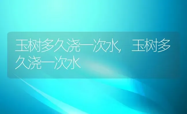 玉树多久浇一次水,玉树多久浇一次水 | 养殖常见问题