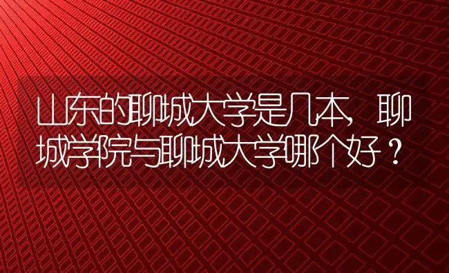 山东的聊城大学是几本,聊城学院与聊城大学哪个好？ | 养殖常见问题