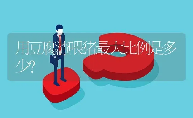 用豆腐渣喂猪最大比例是多少? | 养殖问题解答