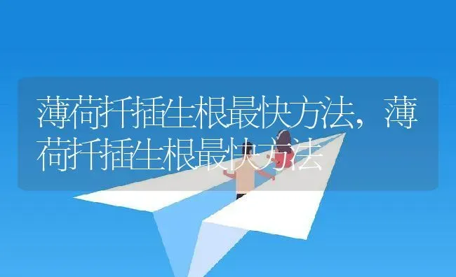 紫阳花什么时候开花开花时间几月,中秋节前后开的花？ | 养殖常见问题