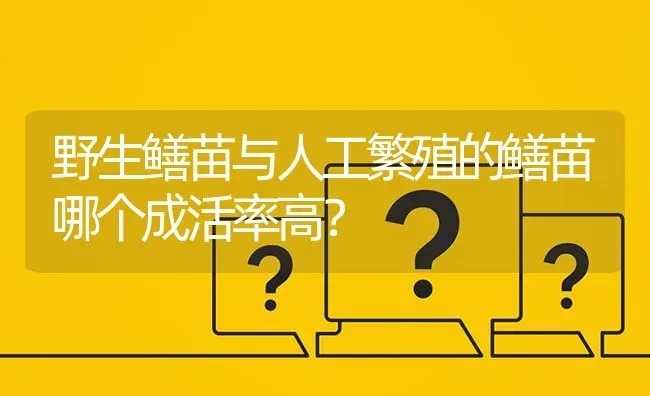 野生鳝苗与人工繁殖的鳝苗哪个成活率高? | 养殖问题解答