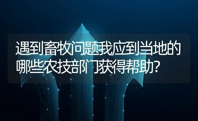 遇到畜牧问题我应到当地的哪些农技部门获得帮助? | 养殖问题解答