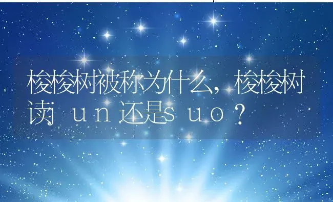 梭梭树被称为什么,梭梭树读jun还是suo？ | 养殖常见问题