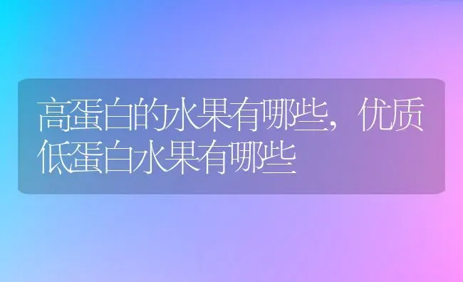 高蛋白的水果有哪些,优质低蛋白水果有哪些 | 养殖常见问题