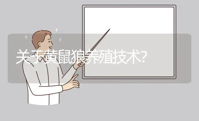 关于黄鼠狼养殖技术? | 养殖问题解答