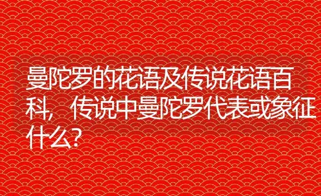 曼陀罗的花语及传说花语百科,传说中曼陀罗代表或象征什么？ | 养殖常见问题