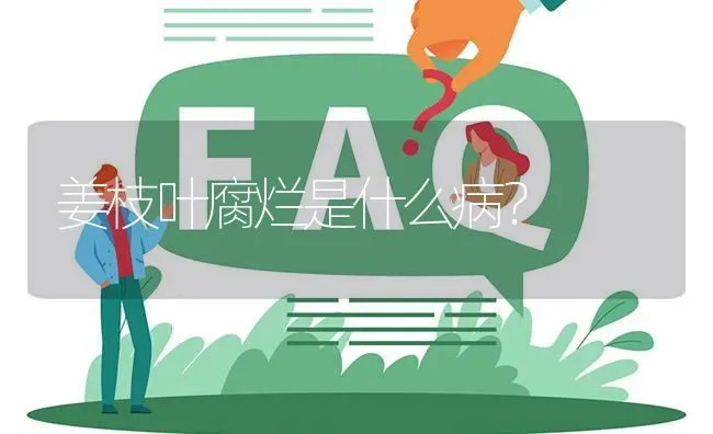 姜枝叶腐烂是什么病? | 养殖问题解答