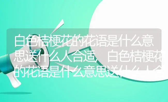 白色桔梗花的花语是什么意思送什么人合适,白色桔梗花的花语是什么意思送什么人合适 | 养殖常见问题