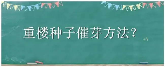 重楼种子催芽方法 | 科普知识