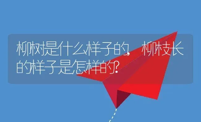 柳树是什么样子的,柳枝长的样子是怎样的? | 养殖常见问题