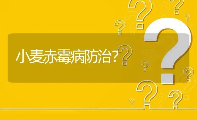 小麦赤霉病防治? | 养殖问题解答