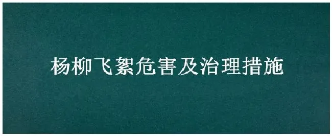 杨柳飞絮危害及治理措施 | 农业问题