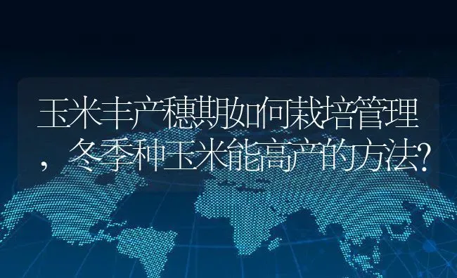 玉米丰产穗期如何栽培管理,冬季种玉米能高产的方法？ | 养殖常见问题