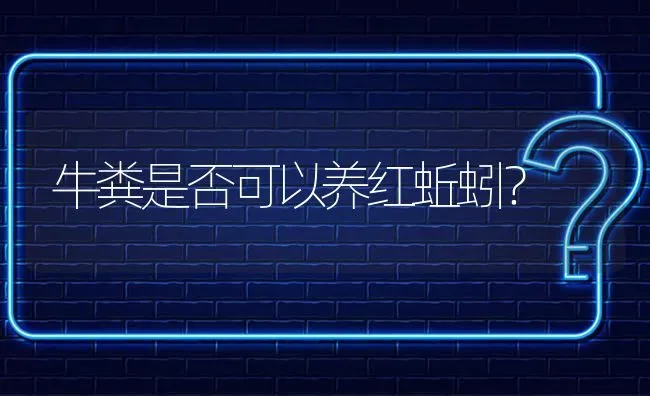 牛粪是否可以养红蚯蚓? | 养殖问题解答