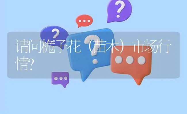 请问桅子花(苗木)市场行情? | 养殖问题解答