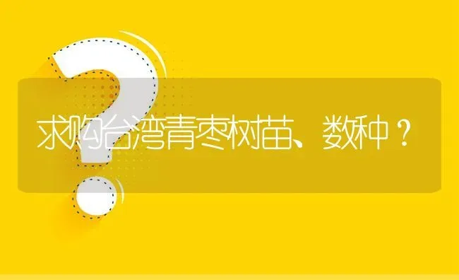 求购台湾青枣树苗、数种? | 养殖问题解答