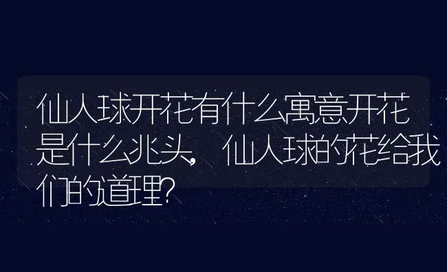 仙人球开花有什么寓意开花是什么兆头,仙人球的花给我们的道理？ | 养殖常见问题