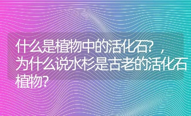 什么是植物中的活化石?,为什么说水杉是古老的活化石植物？ | 养殖常见问题