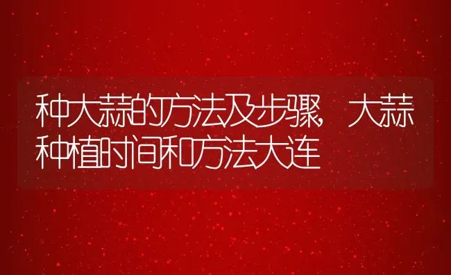 种大蒜的方法及步骤,大蒜种植时间和方法大连 | 养殖常见问题