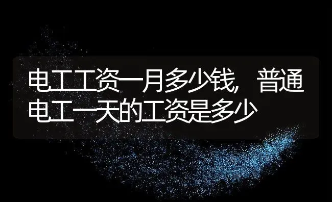 电工工资一月多少钱,普通电工一天的工资是多少 | 养殖常见问题