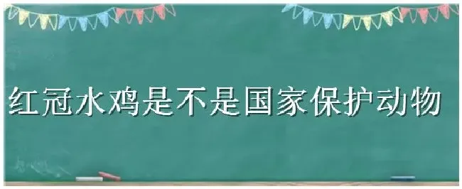 红冠水鸡是不是国家保护动物 | 三农答疑